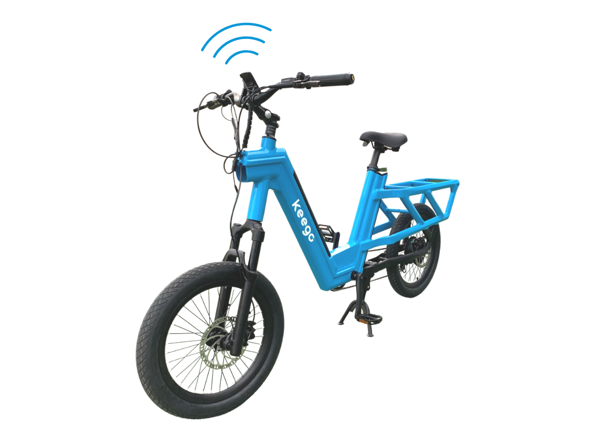 KG3/KG5 – IoT-Connected Delivery Ebike