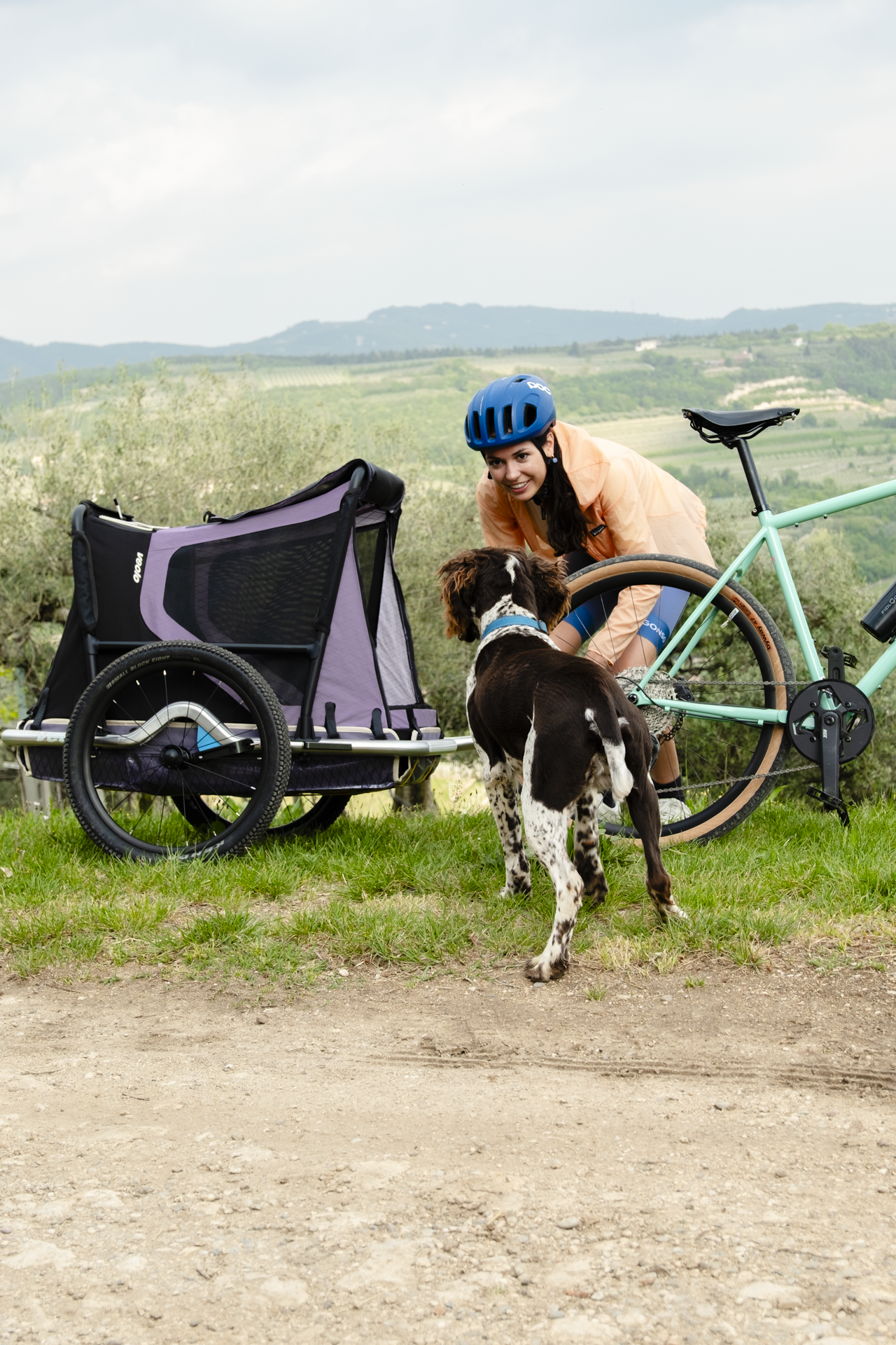 veolo Trailer mit Hund-Aufsatz auf Feldweg