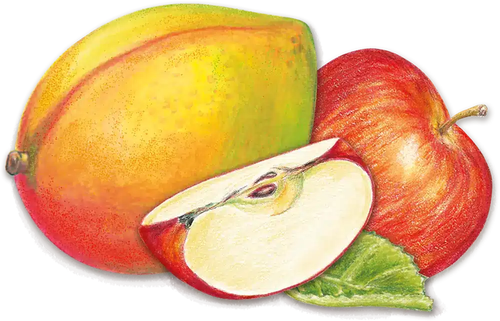 Apfel-Mango-Saft