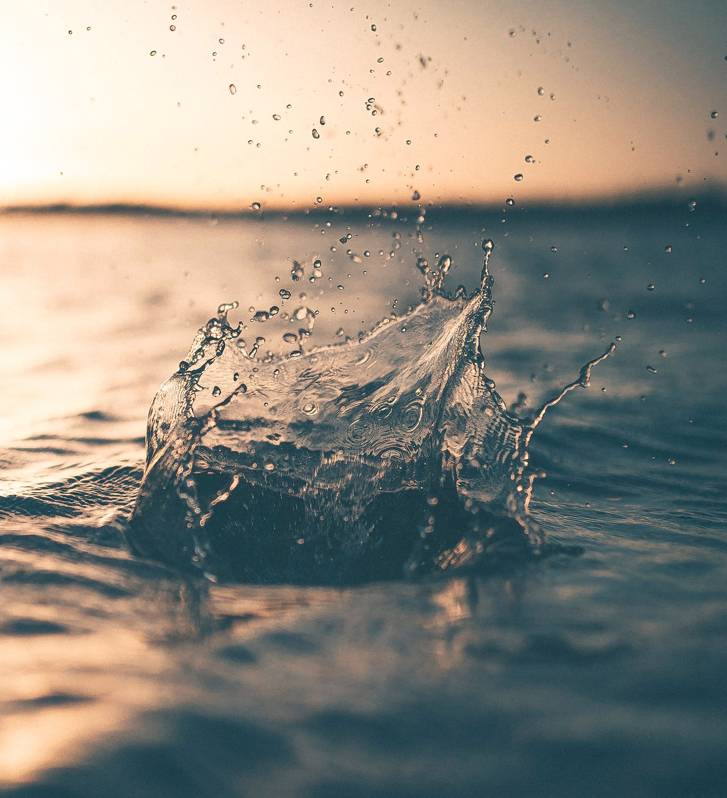 Abwasser- und Schmutzwasserpumpen im Service
