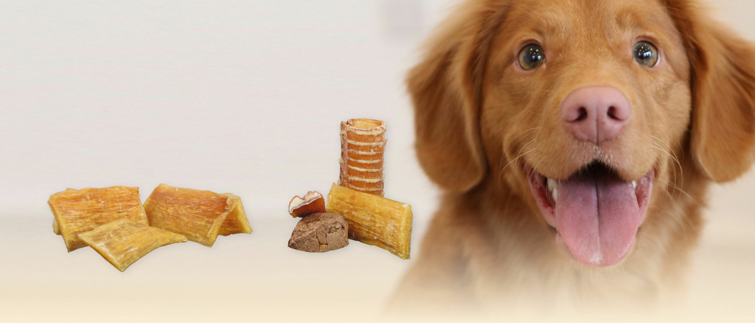 Hundesnacks-Sortiment