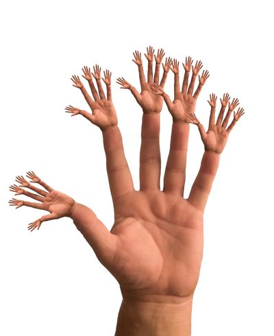 Reduktion organisationaler Ineffizienzen