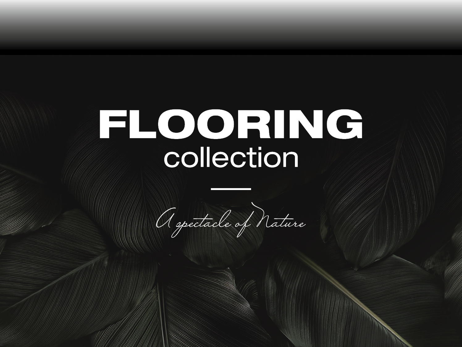 Laminat- und Holzfußböden (FLOORS 2025)