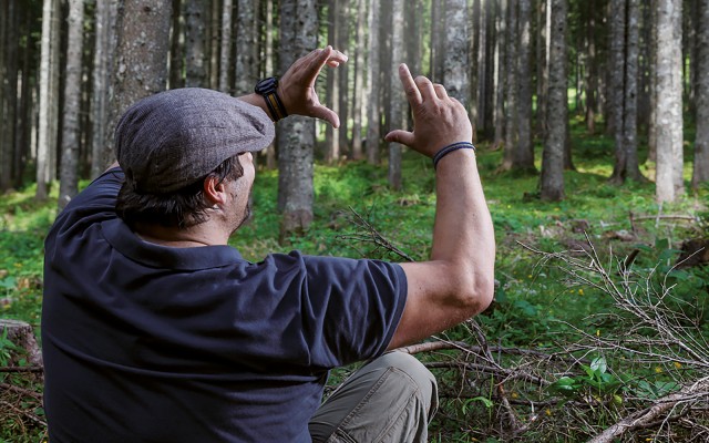 HASSLACHER NORICA TIMBER – Impression