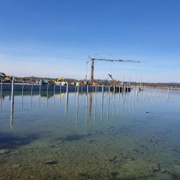 Grossrohre, Hafen Ermatingen