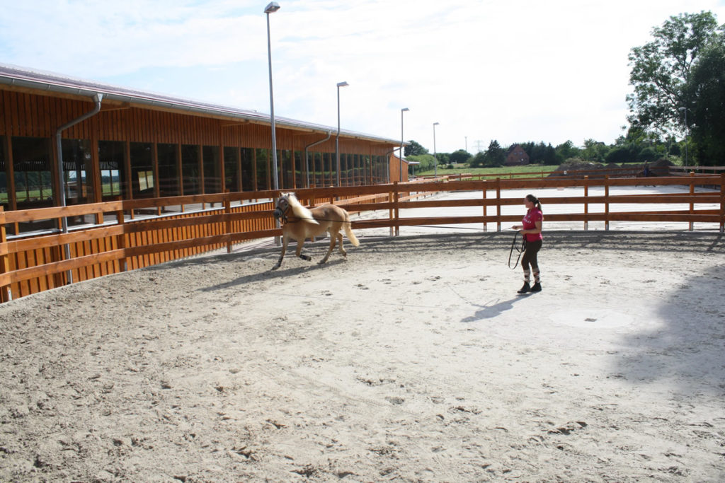Pferdepension und Reitanlage in Lüchow
