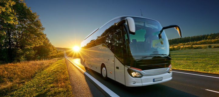 Busanreise inkl. Haustürabholung