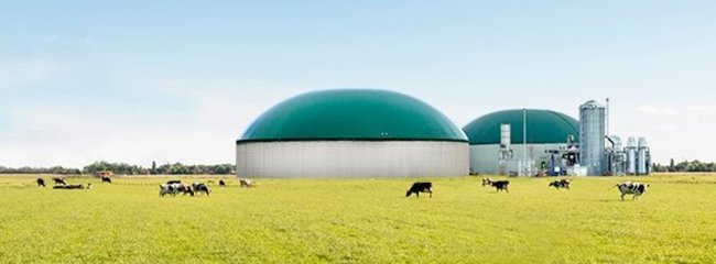 Einsatz in Biogasanlagen