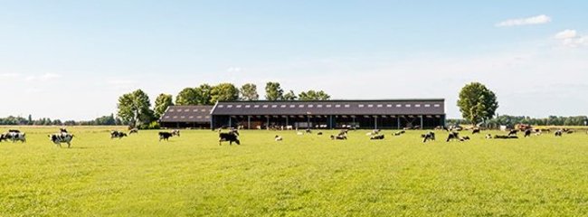 Einsatz in der Landwirtschaft