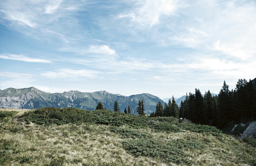 Landschaft Toggenburg – Heimatregion der Fraefel AG