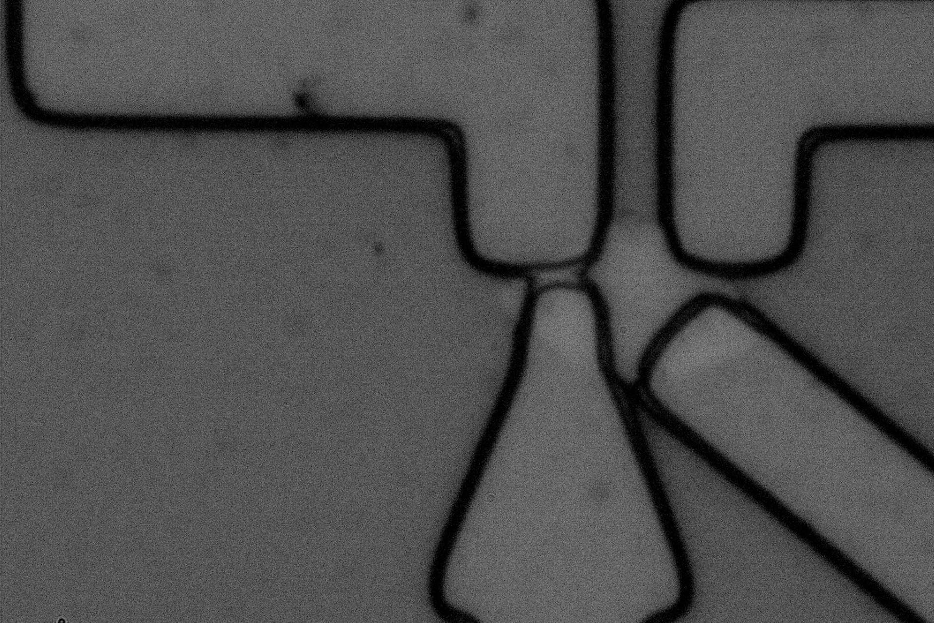 Kontaktpads auf Graphen-Flake