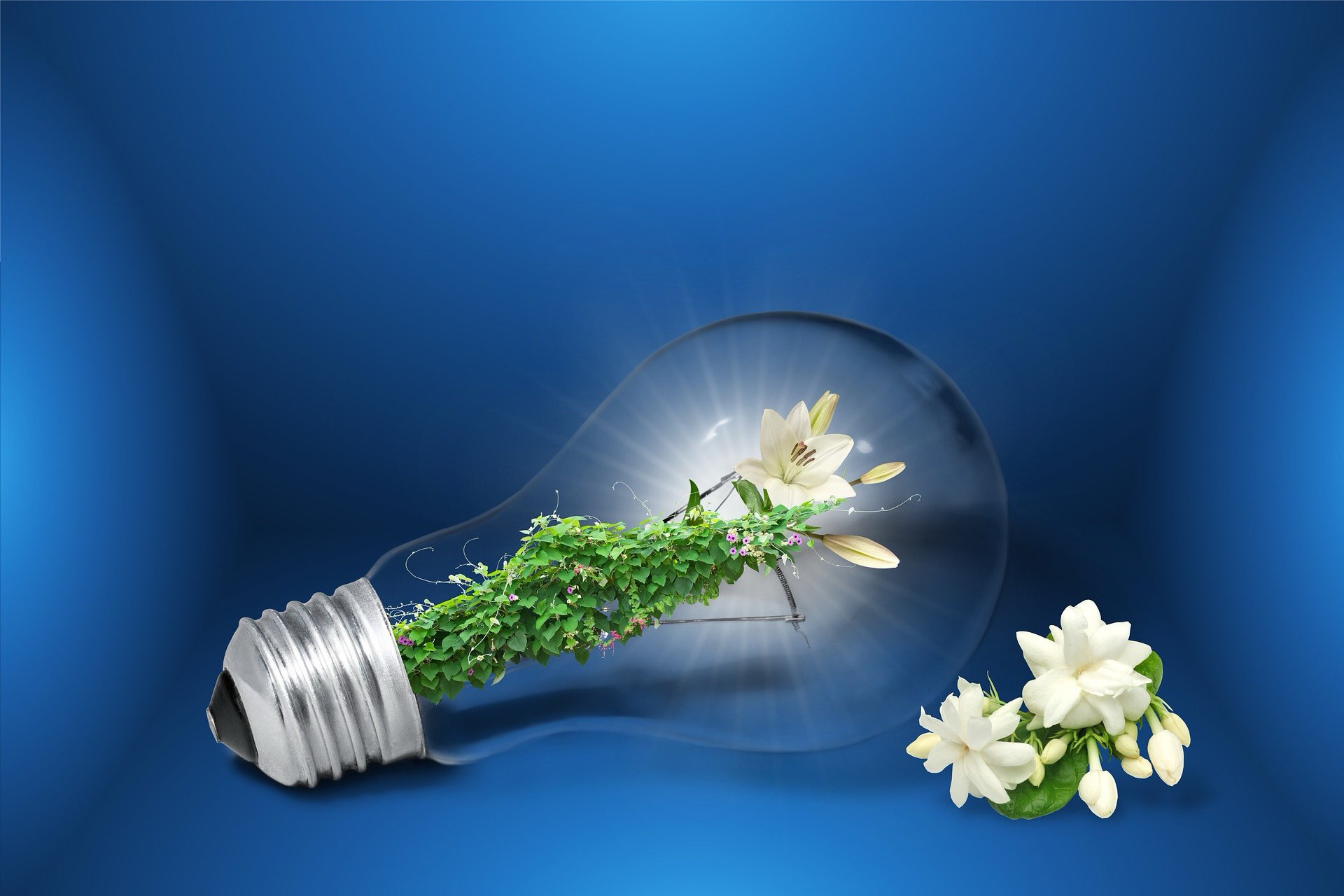 Effiziente Energienutzung