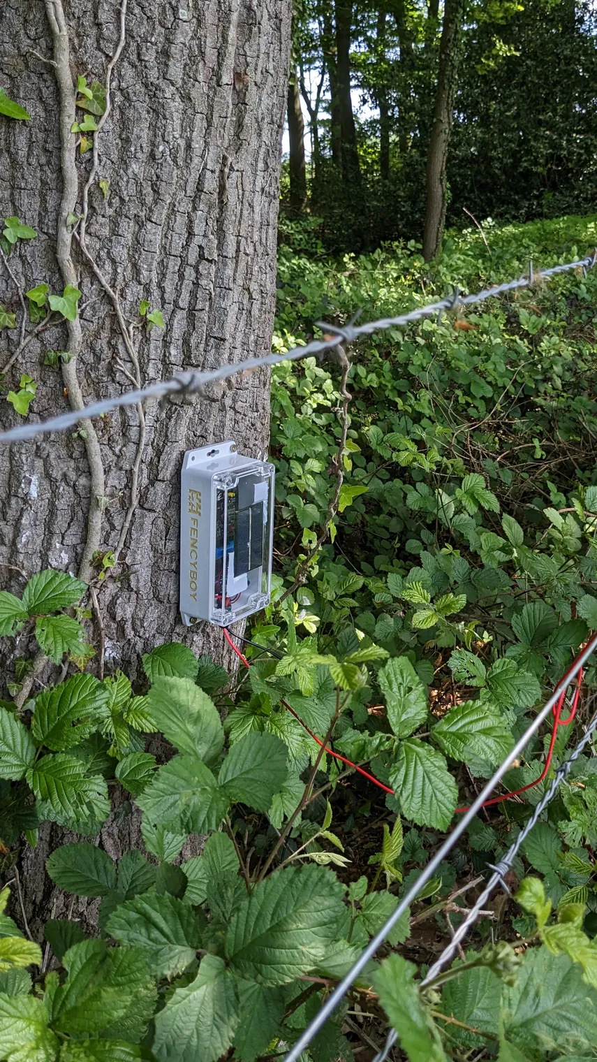 Fencyboy mit Solarpanel am Baum montiert