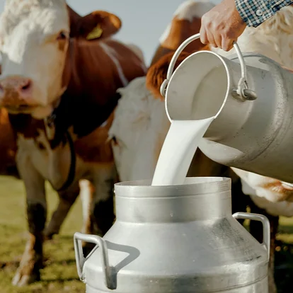 Food & Feed Zusatzstoffe