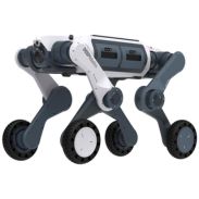Quadrupeden-Roboter (Deep Robotics)