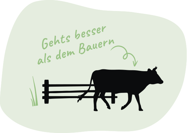 Kühe der Hofmolkerei