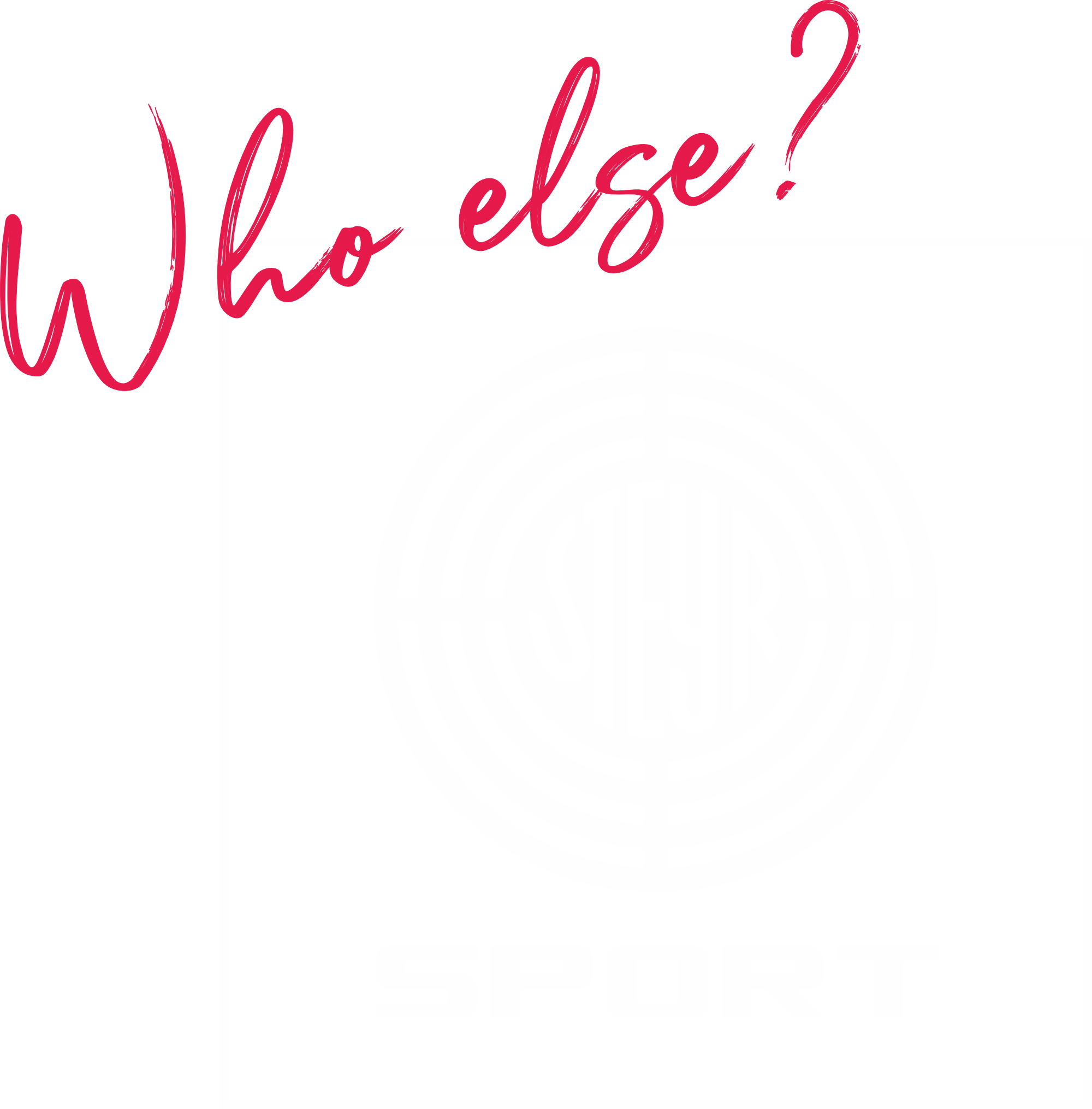 Steyr Sport Logo