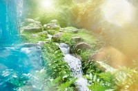 TFL ECO TEC – ökologische Wasserwerkstatt
