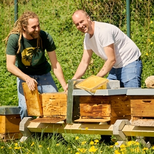 Die beiden Imker Christian Schmid und Uwe Bentner an den Bienenkästen