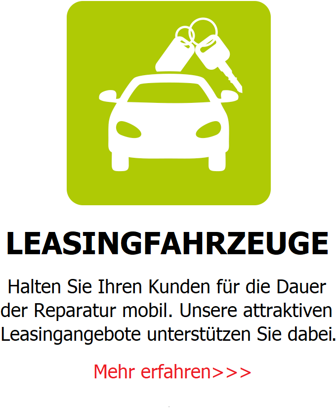 Leasingfahrzeuge / Werkstattersatzfahrzeuge