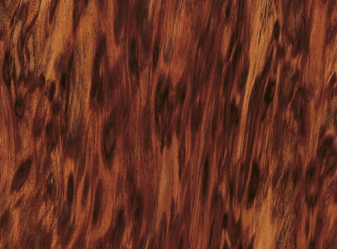 Furnier Tigerwood/Étimoe