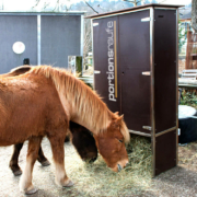 portionsraufe im Freien