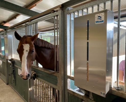Kraftfutterautomat im Gestüt Welsum