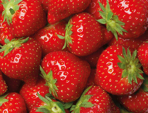 Vakuumgetrocknete Erdbeeren