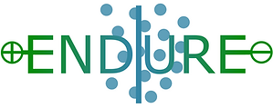 ENDURE Logo
