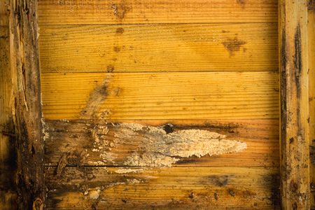 Belastete Baustoffe, verwitterte Holzwand vor Sanierung