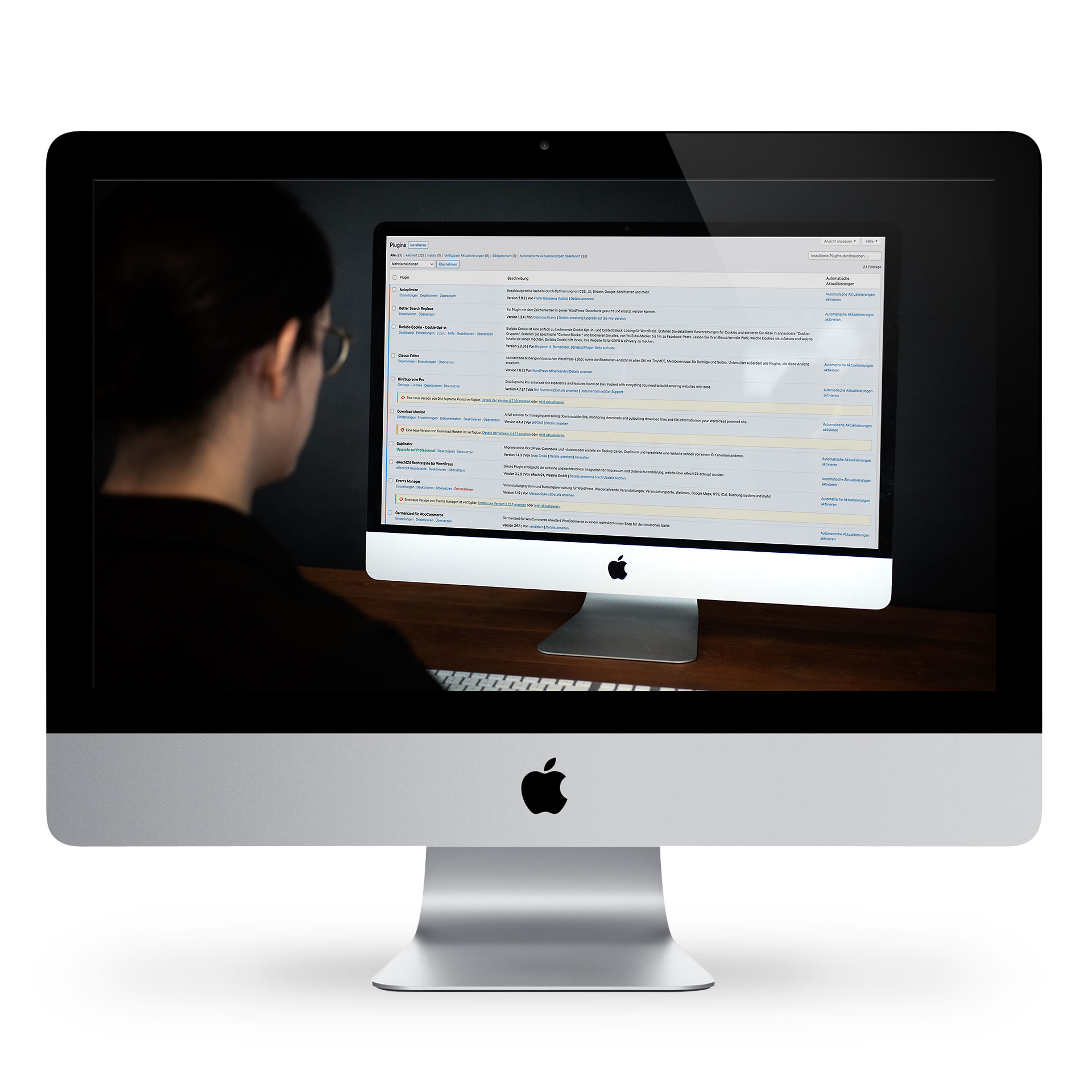 WordPress-Update-Service