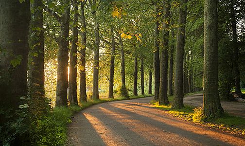 Holzkisten nach HPE-Standard