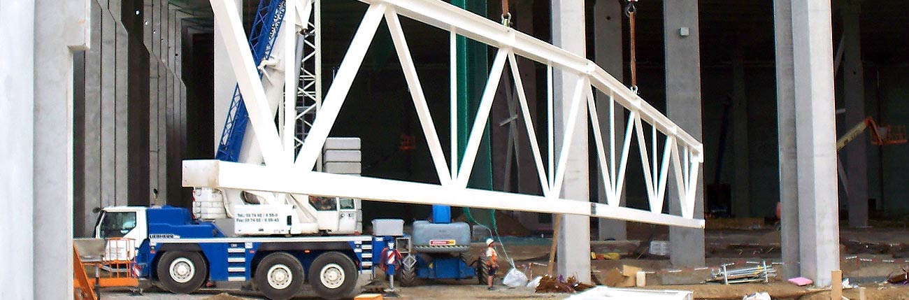 Project execution steel and plant construction