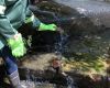 Flusssanierungsprojekt mit Messsystemen, Südafrika