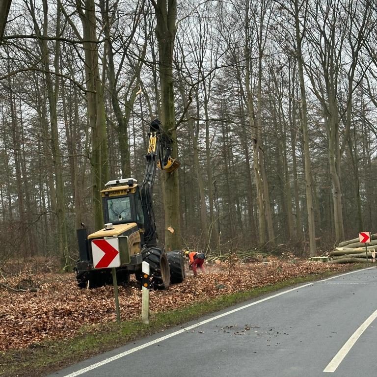 Maßgeschnittene Dielen und Treppenstufen