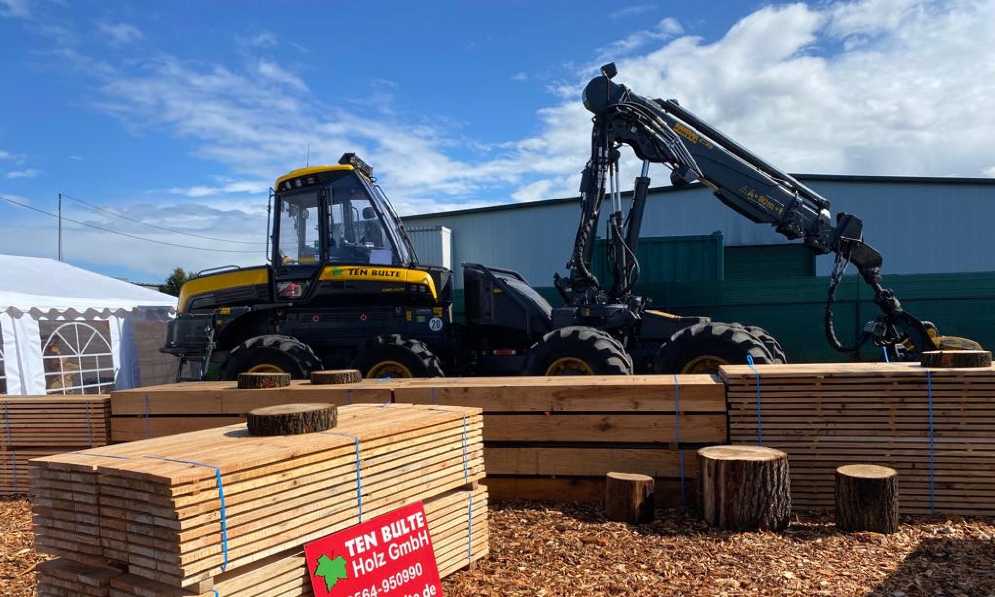 gesägtes Holz aus dem Harvester