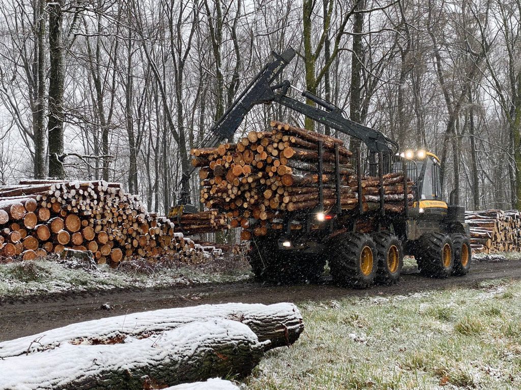 Forwarder Ponsse Buffalo