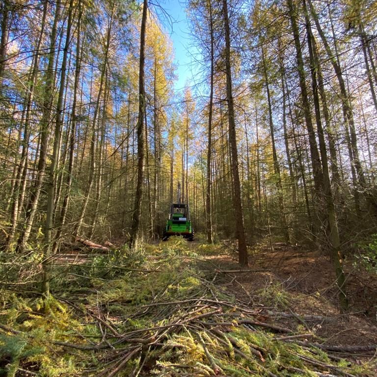 Wahlers-Harvester Biber
