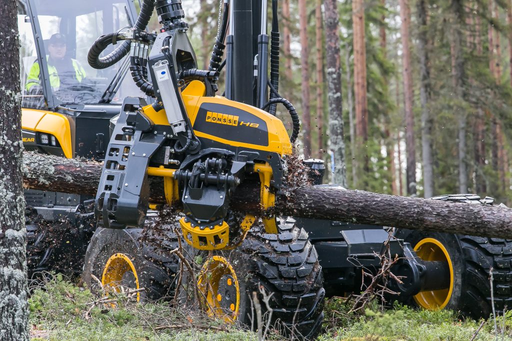Holzlager / Rundholz