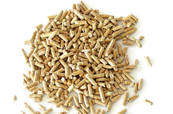 Pelletofen