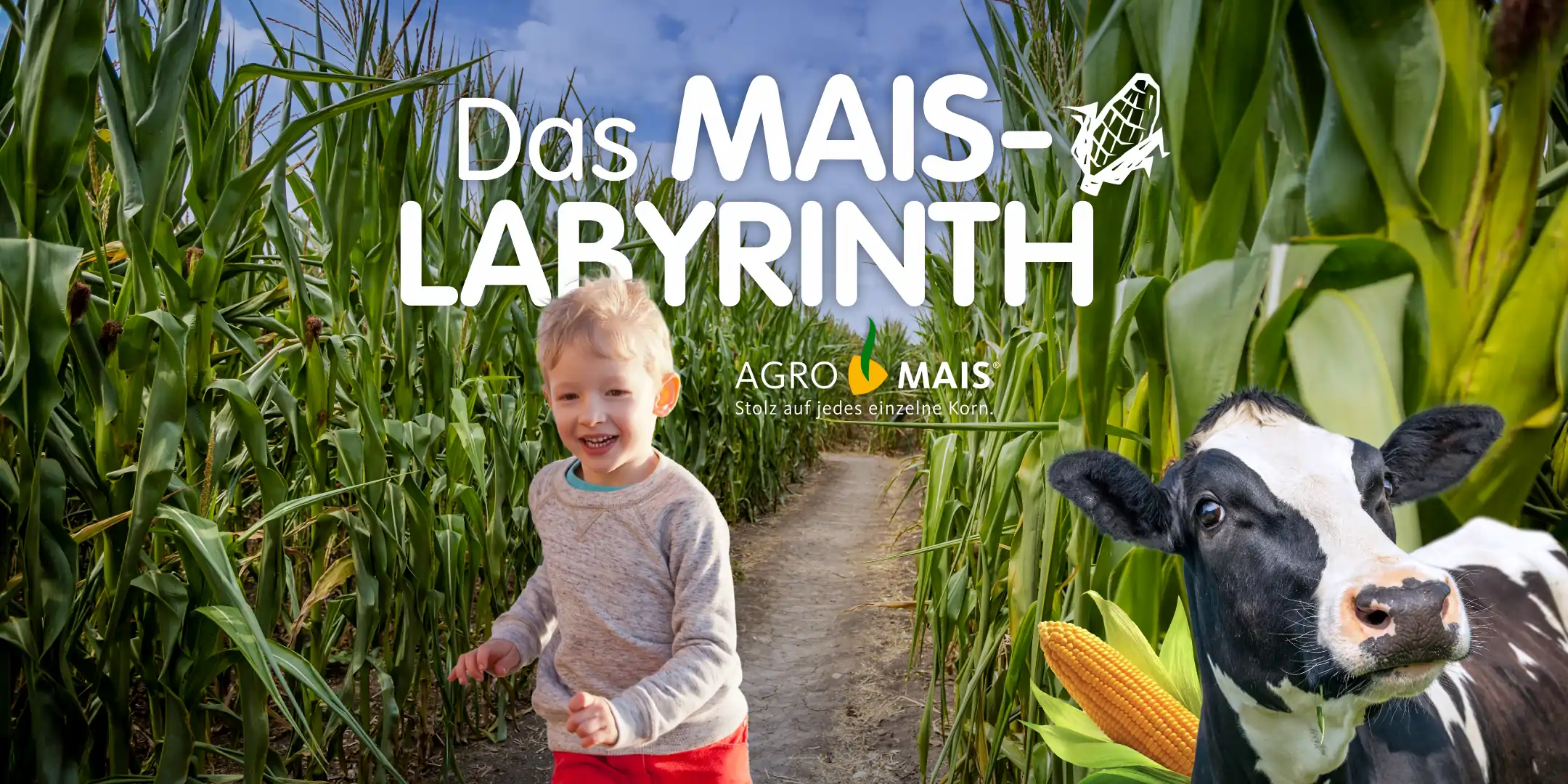 Maislabyrinth auf dem Erlebnis-Bauernhof