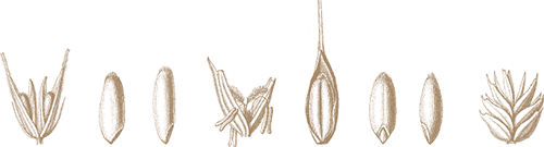 Mühle & Naturkost