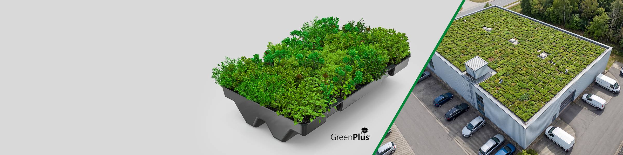GreenPlus – modulare Dachbegrünung