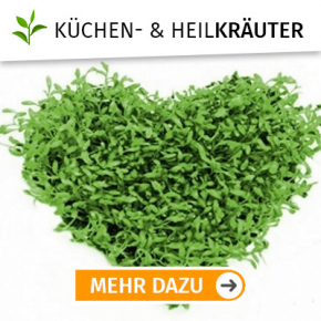 Kräutersamen