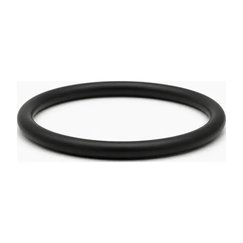 ExLAST® FFKM-O-Ring