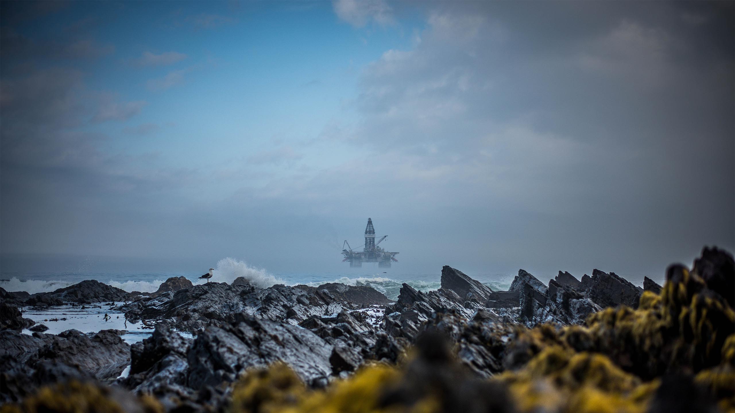 Offshore Oil & Gas – Unterwasserinspektion