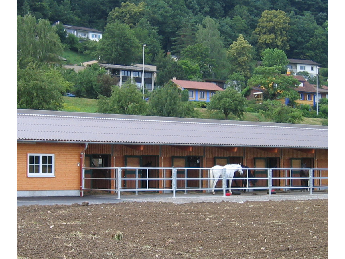 Pferdestall