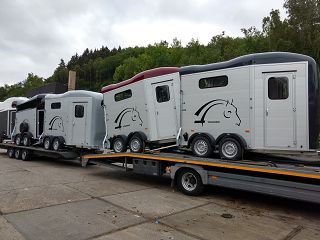 Cheval Liberté Touring Jumping