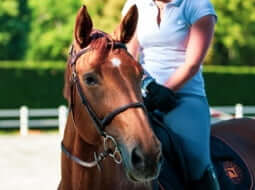 Equestgum®-Produkte