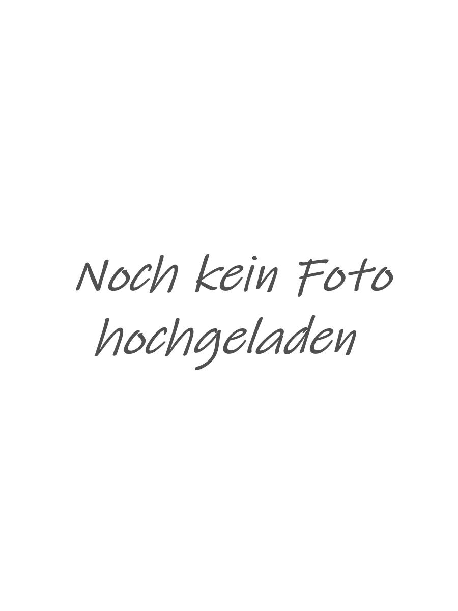 Dimos-Trucks – Fertigung